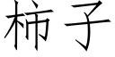 柿子 (仿宋矢量字库)