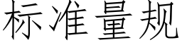 标准量规 (仿宋矢量字库)