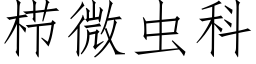 栉微蟲科 (仿宋矢量字庫)