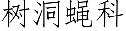 樹洞蠅科 (仿宋矢量字庫)