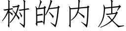 樹的内皮 (仿宋矢量字庫)