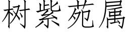 树紫苑属 (仿宋矢量字库)