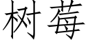 樹莓 (仿宋矢量字庫)