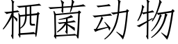 栖菌動物 (仿宋矢量字庫)