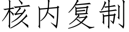 核内複制 (仿宋矢量字庫)