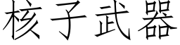 核子武器 (仿宋矢量字库)