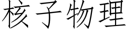 核子物理 (仿宋矢量字库)