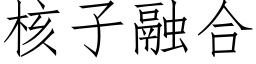 核子融合 (仿宋矢量字库)