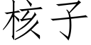 核子 (仿宋矢量字库)