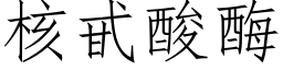 核甙酸酶 (仿宋矢量字库)