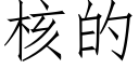 核的 (仿宋矢量字库)