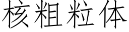 核粗粒体 (仿宋矢量字库)