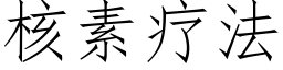 核素疗法 (仿宋矢量字库)