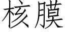 核膜 (仿宋矢量字庫)