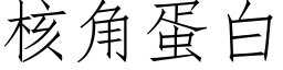 核角蛋白 (仿宋矢量字库)