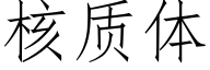 核质体 (仿宋矢量字库)