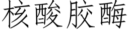 核酸膠酶 (仿宋矢量字庫)