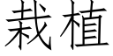 栽植 (仿宋矢量字库)