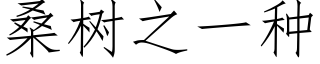 桑树之一种 (仿宋矢量字库)