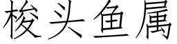 梭头鱼属 (仿宋矢量字库)