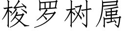 梭罗树属 (仿宋矢量字库)