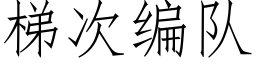 梯次编队 (仿宋矢量字库)