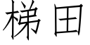 梯田 (仿宋矢量字库)