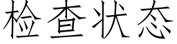 检查状态 (仿宋矢量字库)