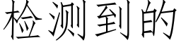 检测到的 (仿宋矢量字库)