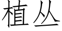 植丛 (仿宋矢量字库)