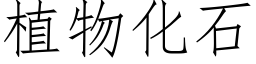 植物化石 (仿宋矢量字库)