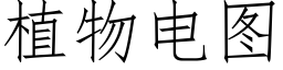 植物電圖 (仿宋矢量字庫)