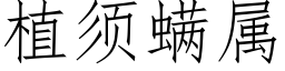 植須螨屬 (仿宋矢量字庫)