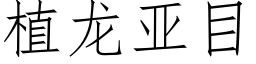 植龙亚目 (仿宋矢量字库)