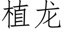 植龙 (仿宋矢量字库)