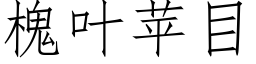 槐葉蘋目 (仿宋矢量字庫)