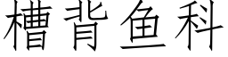 槽背鱼科 (仿宋矢量字库)