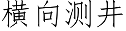 橫向測井 (仿宋矢量字庫)