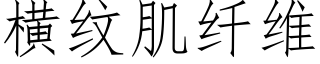 横纹肌纤维 (仿宋矢量字库)