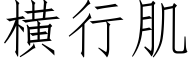 横行肌 (仿宋矢量字库)