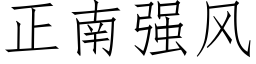 正南强风 (仿宋矢量字库)