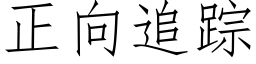 正向追踪 (仿宋矢量字库)