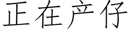 正在产仔 (仿宋矢量字库)