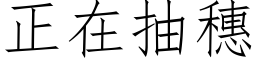 正在抽穗 (仿宋矢量字库)