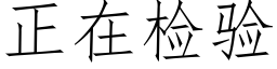 正在检验 (仿宋矢量字库)