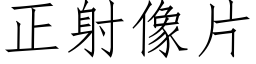 正射像片 (仿宋矢量字库)