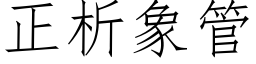 正析象管 (仿宋矢量字庫)