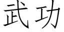 武功 (仿宋矢量字库)