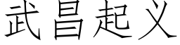 武昌起义 (仿宋矢量字库)