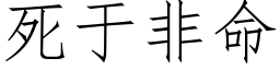 死于非命 (仿宋矢量字庫)